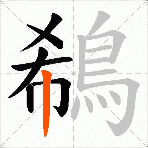 鵗