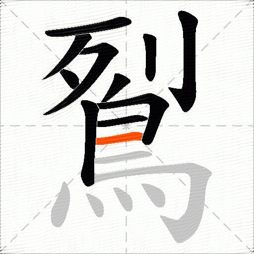 鴷