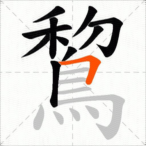 鵹