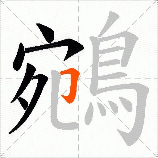 鵷