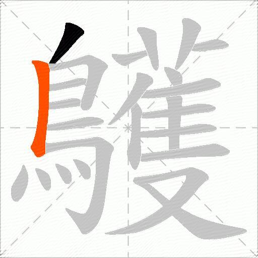 鸌