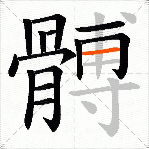 髆
