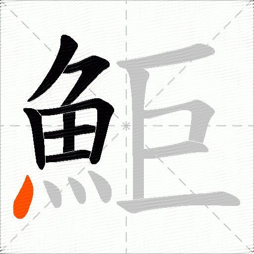 鮔