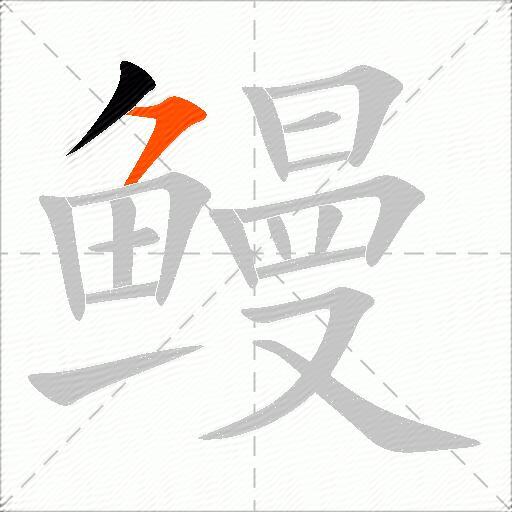 鳗