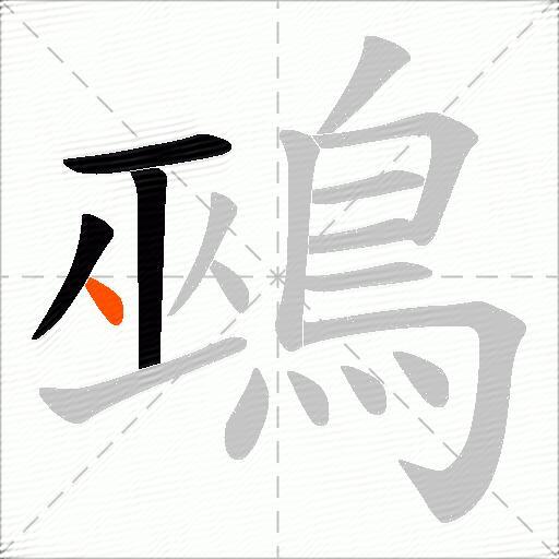 鵐