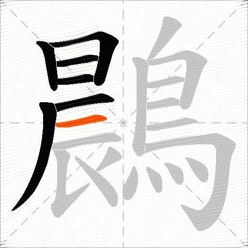 鷐