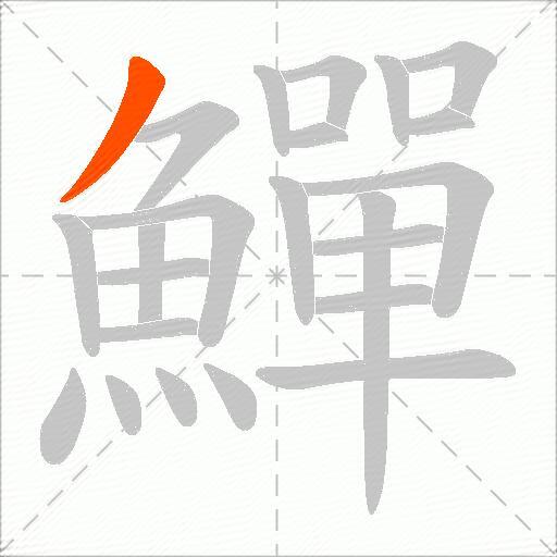 鱓