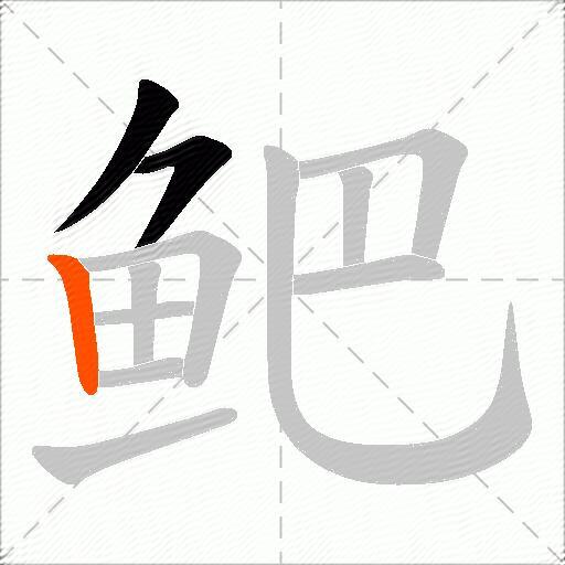 鲃