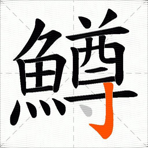 鱒
