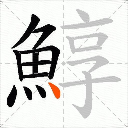 鯙
