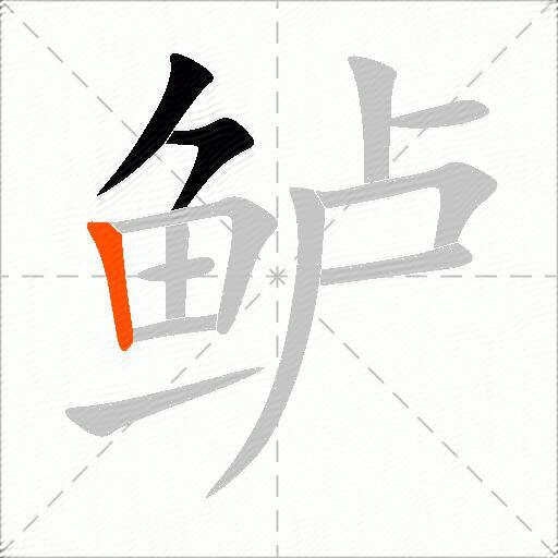 鲈