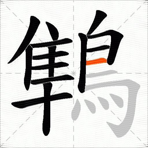 鶽