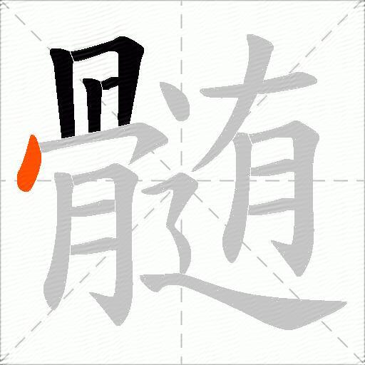 髄
