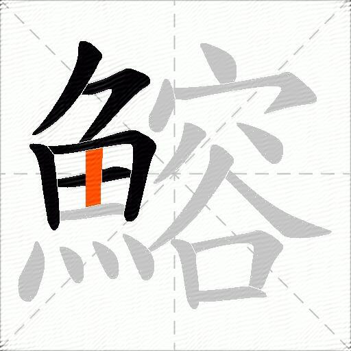 鰫