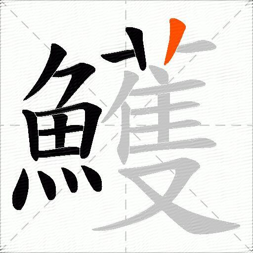 鱯