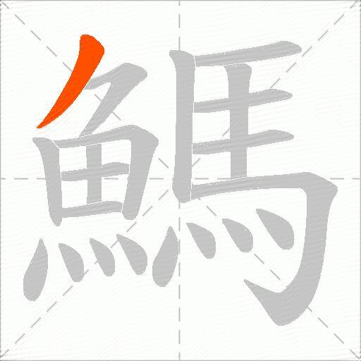 鰢