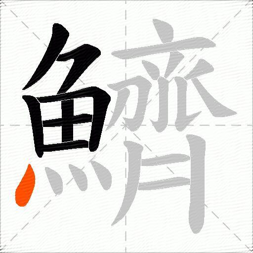 鱭