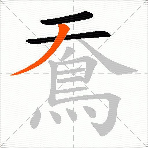 鴌