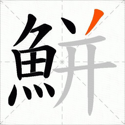 鮩