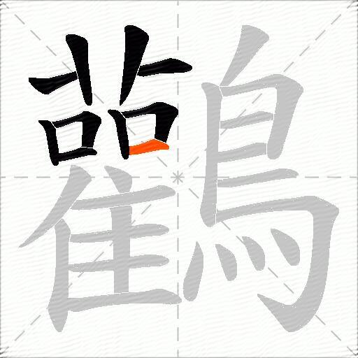 鸛