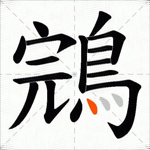鵍