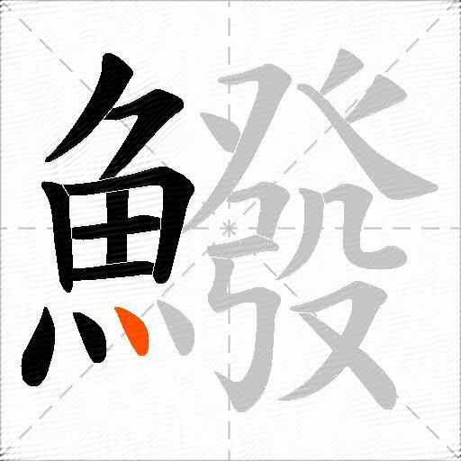鱍