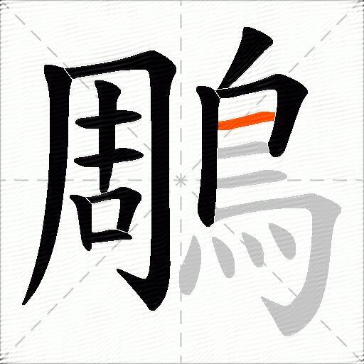鵰