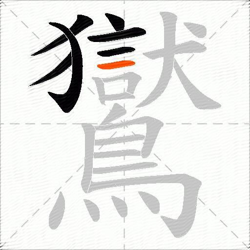 鸑
