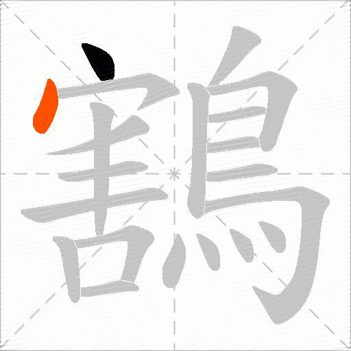 鶷