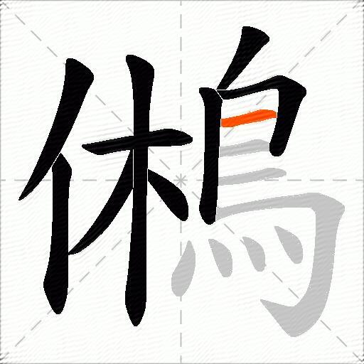 鵂