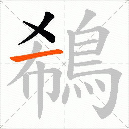 鵗