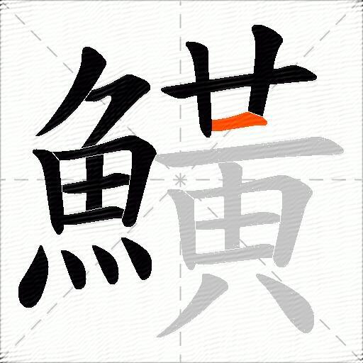 鱑