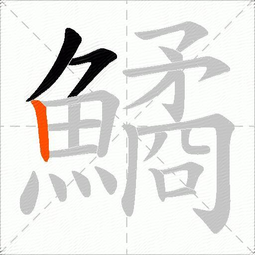 鱊