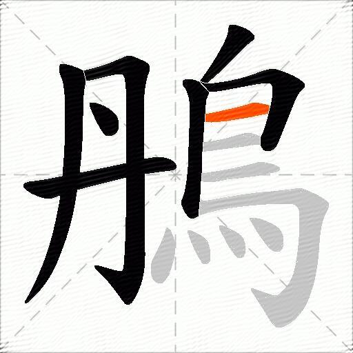 鴅