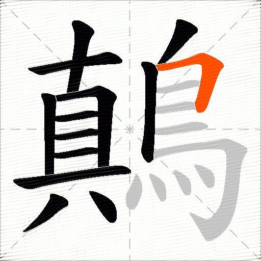鷏