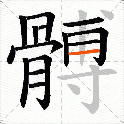 髆