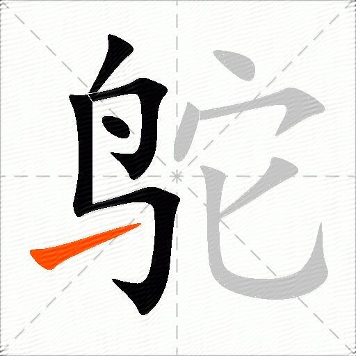 鸵