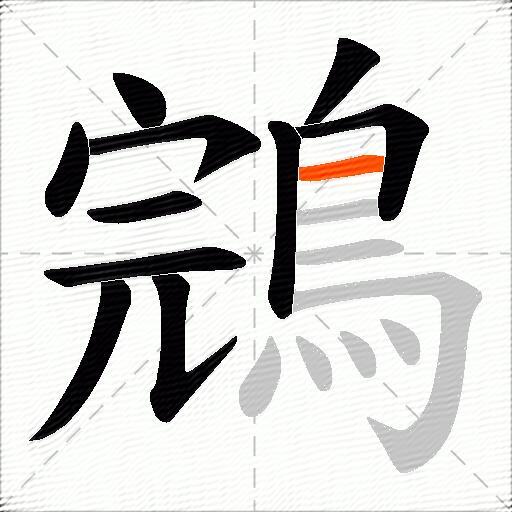 鵍
