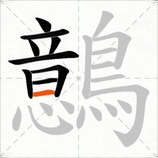 鷾