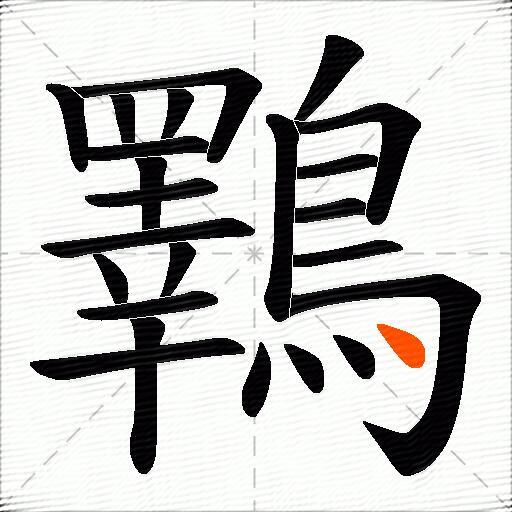鸅