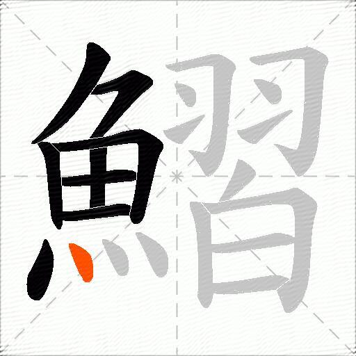 鰼