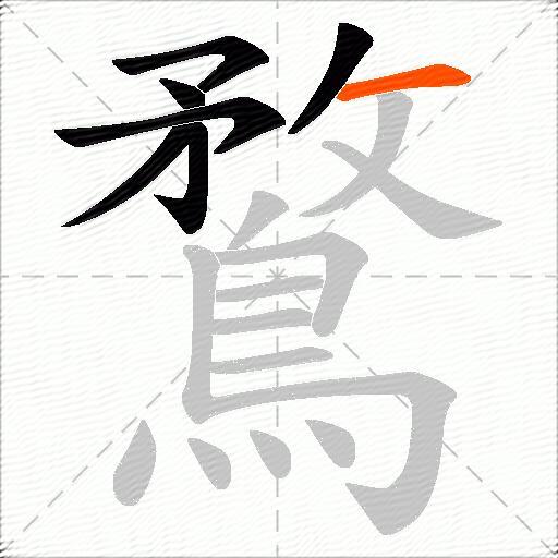 鶩