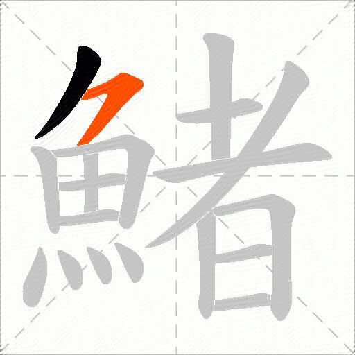 鯺