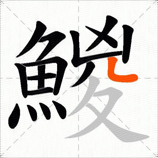 鯼