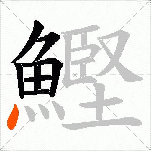 鰹