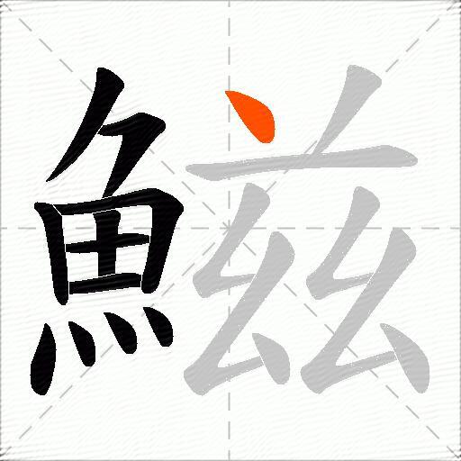 鰦
