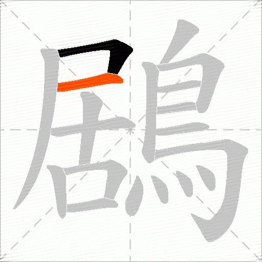 鶋