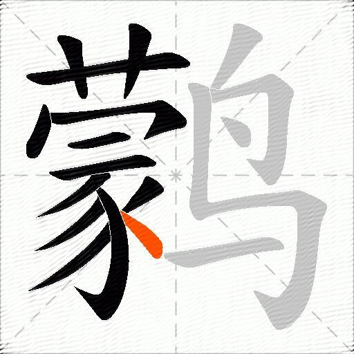 鹲