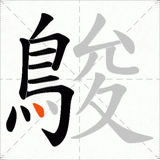 鵔