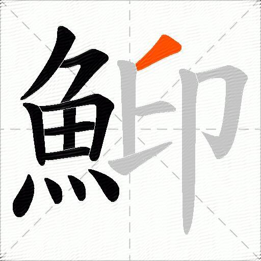 鮣